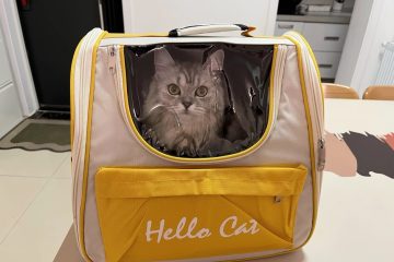 야외용 크로스백, 휴대용 애완동물 가방, 통기성이 뛰어난 넓은 공간의 고양이와 강아지 만능 가방, 소형견 여행 가방, 고양이 photo review
