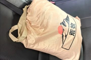 차량용 수면 장치: AI 접이식 자동 팽창식 차량 뒷좌석 매트리스 photo review
